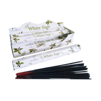 White Sage Premium Incense - Single Pack of 20