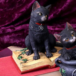 Eclipse 12cm Black Cat on Spell Book