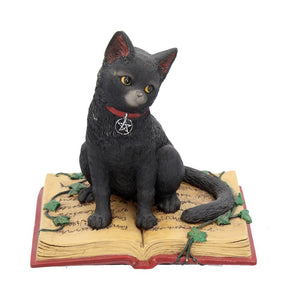 Eclipse 12cm Black Cat on Spell Book