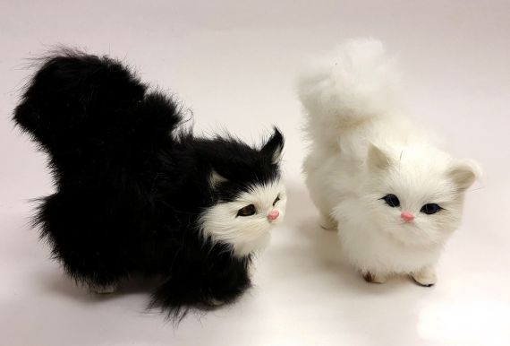 Ornamental Cats
