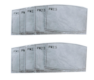 PM2.5 Face Mask Filter Insert Pack of 4 - Adult