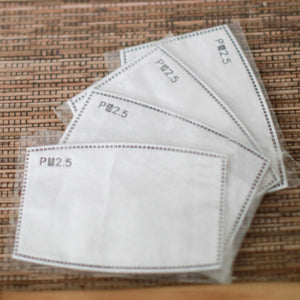 PM2.5 Face Mask Filter Insert Pack of 4 - Adult