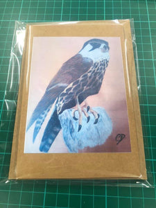 Note Cards Pack of 4 - Print Falcon by Sian Steadman