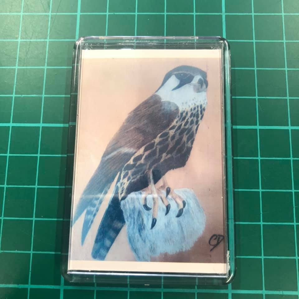 Fridge Magnet - Print Falcon by Sian Steadman