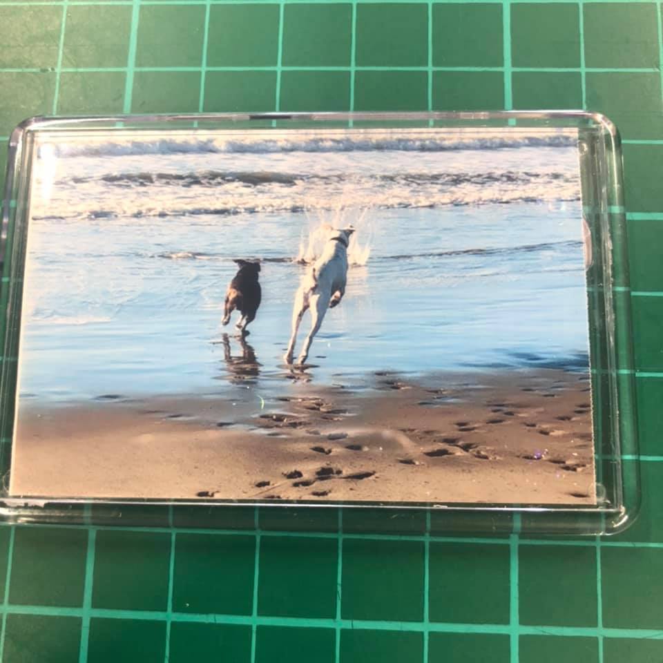 Fridge Magnet - Dogs at the Beach by Sian Steadman