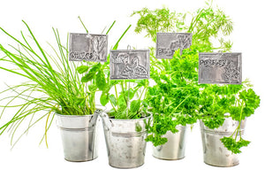 Metal Embossing Kit - Planter Labels