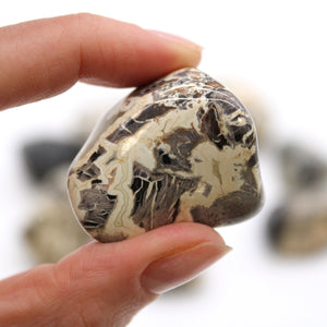 Extra Large Tumble Stone - Jasper - Silverleaf