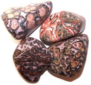 Tumble Stone - Leopard Skin