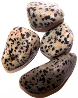Tumble Stone - Dalmation Stone