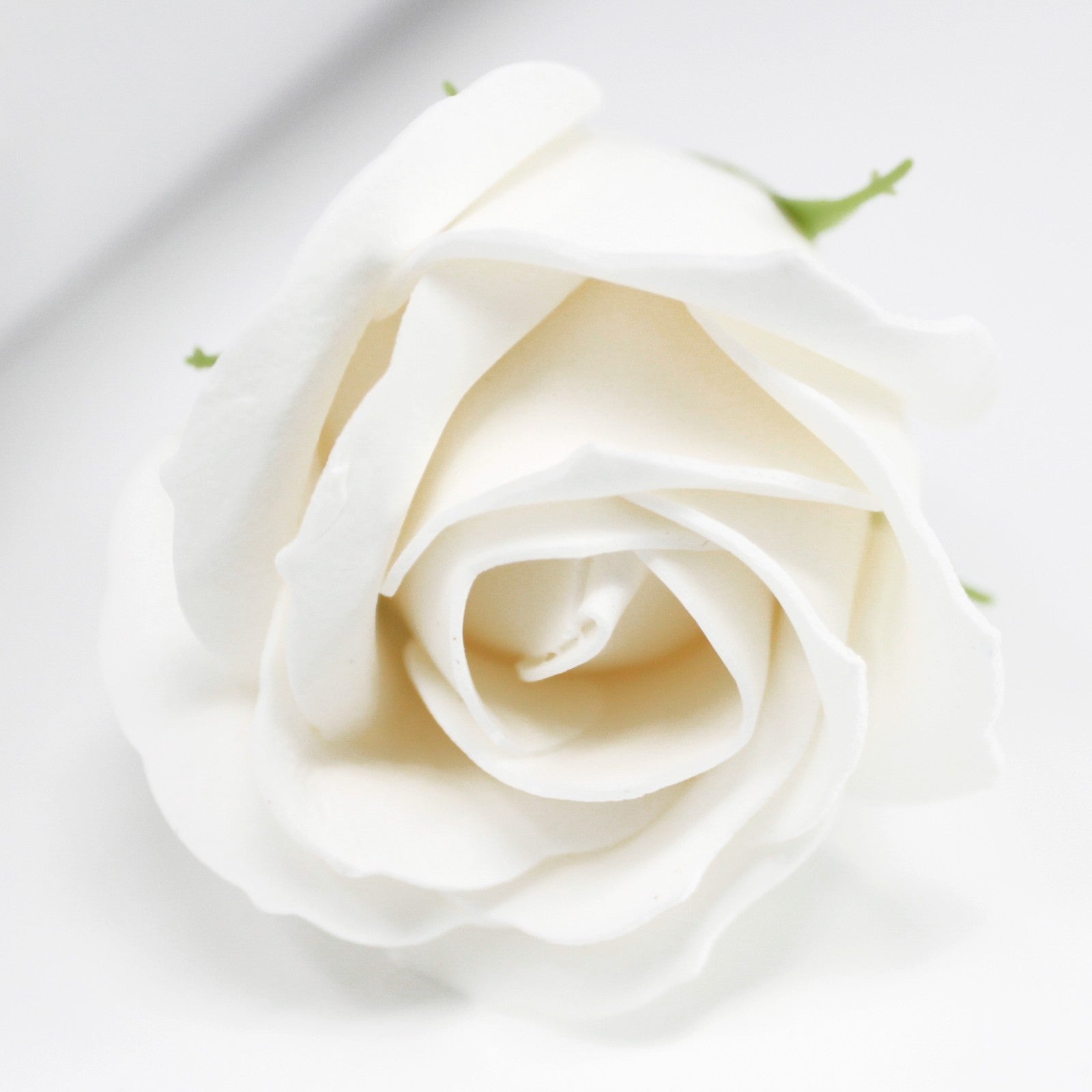 Soap Flower - Medium Rose All Colours