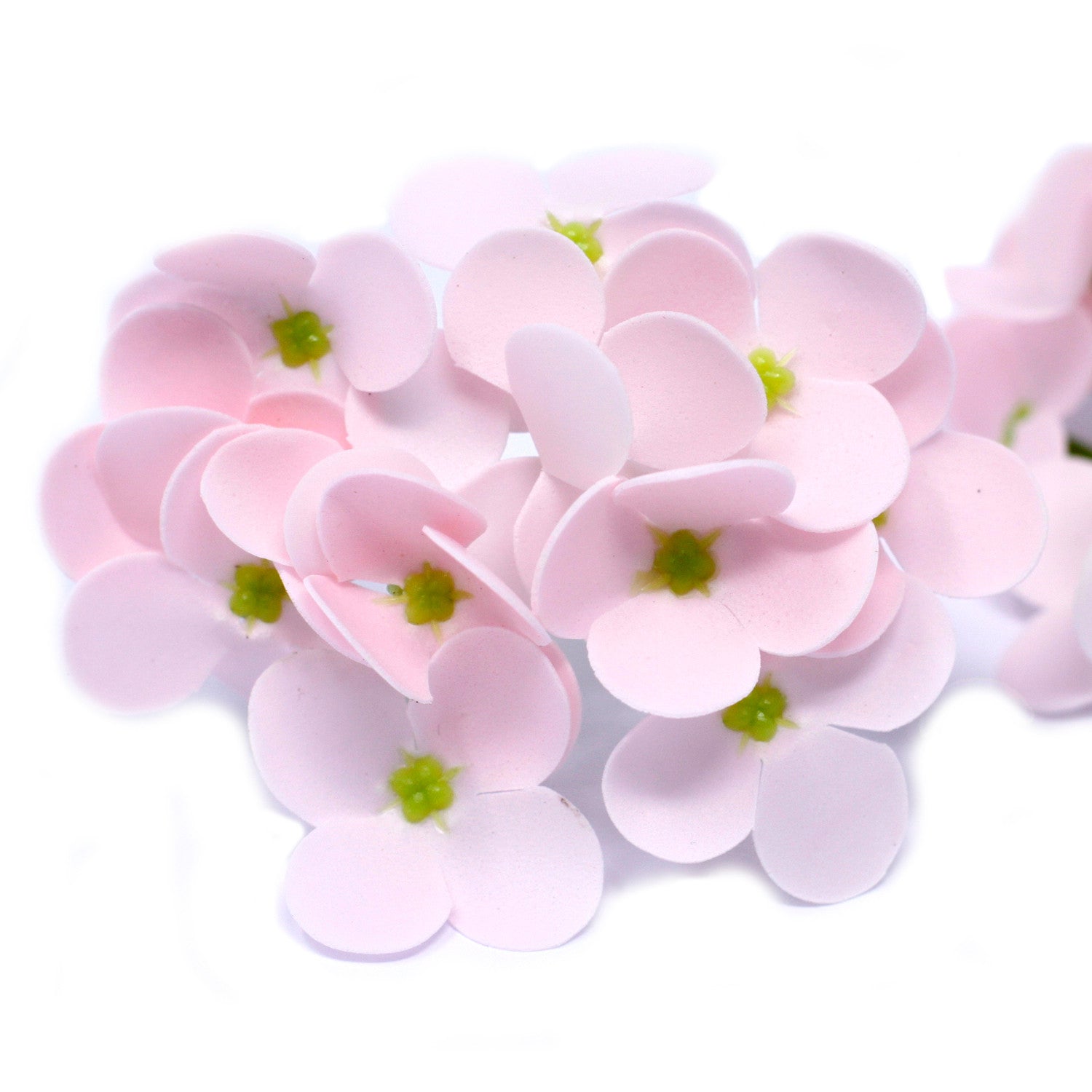 Soap Flower - Hyacinth Bean Many colours