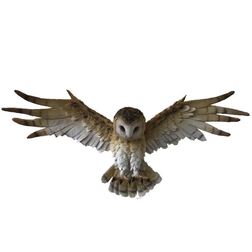 Wisdom Flight Brown Flying Barn Owl Wall Hanging 54.5cm