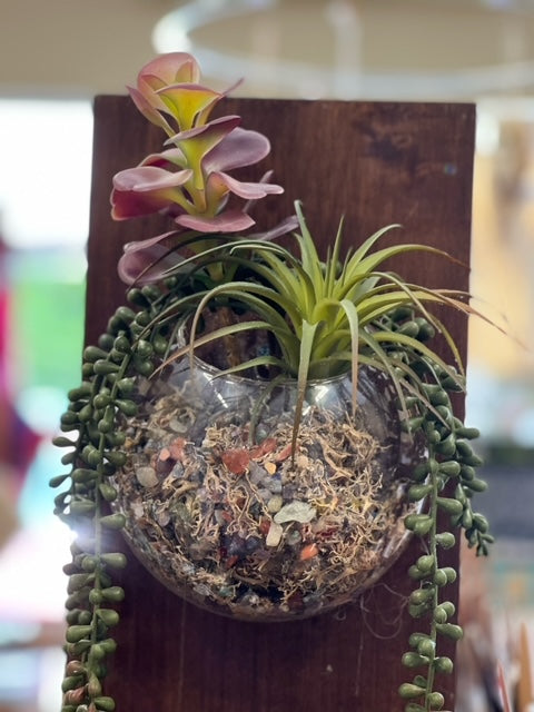 Glass Terrarium Bowl with Succulents and Gemstone Chips