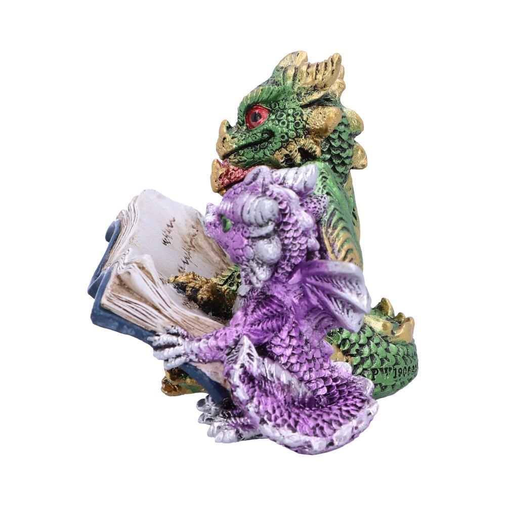 Tales of Fire Reading Book Dragon Figurine